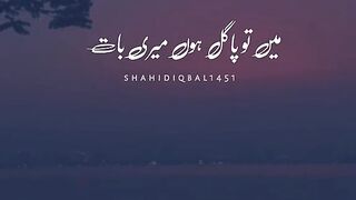 Mai Tu pagal hu.( Interesting sharyi)
