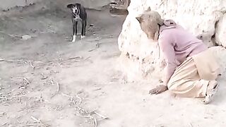 Fun with Smart Dog