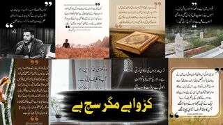 Deep Quotes About Life | Deep Quotes About Life In Urdu | Gehri Baten