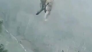 Hutting video