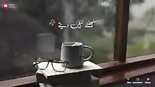 Hum_Saath_Main_Chalte_Hai____New_TikTok_Shayari____Shayari_Whatsapp_status____Shayari_urdu(144p).