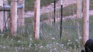 Hutting video