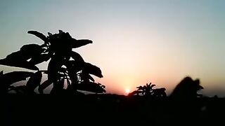 Alae Maan Piyan Tho Sharab Khe | الاءِ مان پيان ٿو شراب کي | Sarmad Sindhi | Sindhi Song | Sindh World Songs