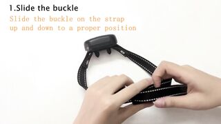 Delupet Dog Shock Collar | Shock Collar for Dogs |Pet Supplies Plus | Pet Supplies