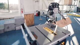 Humanoid Robot
