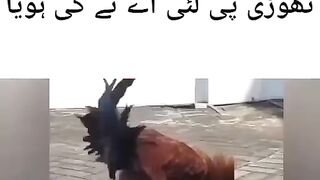 Very nice video