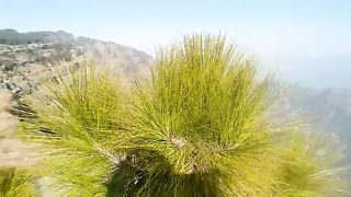 نڑھ کا خوب صورت علاقہ پنج پیر سیاحوں کی توجہ کا مرکز