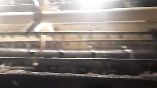 Wheat harvesting in Pakistan agriculture farm