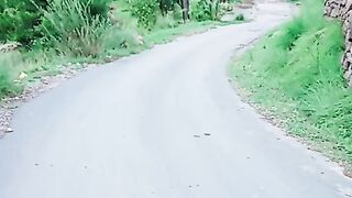 beauty of Kashmir