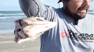 Surf casting 1lb of bait + 100 yards