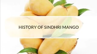 History of Sindhri Mango