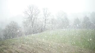 Rain sound effect amazing