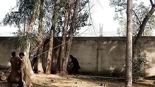 Cutting trees