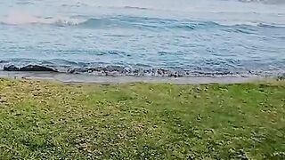 Cyprus beach