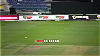 Amazing catch