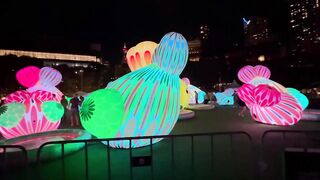 Cupids koi Garden Sydney