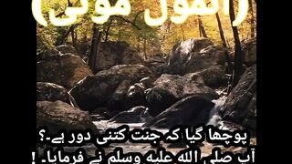 Islamic video||Islamic short video