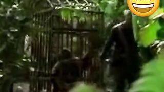 Monkey funny dubbed | All Entertainment