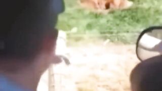 Funny video on Febspot this video is so nice