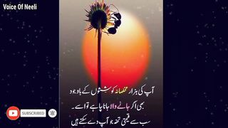 Best Aqwal e zareen in Urdu | Golden words