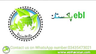 EBL Pakistan Online Earning Platform