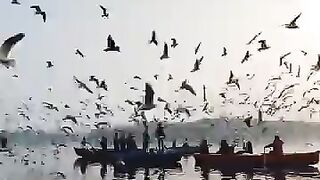 Flying in the ooen sky