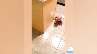 Cutest baby playing ????