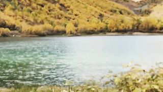 Amazing nature