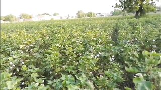 my first vlog on febspot. My first vlog viral on febspot. My first vlog today. My first vlog today 2023