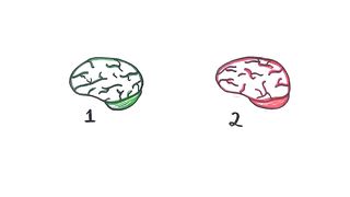 Brain tricks