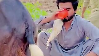 Funny video |teri topi kidher hey???? Full funny video