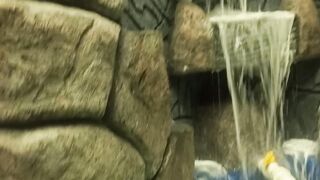 Water Fall