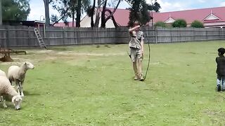 Whip cracking