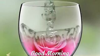 Good Morning