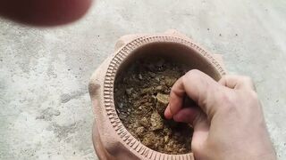 Kitchen Gardening