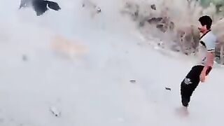 Dogs vs man funny fight