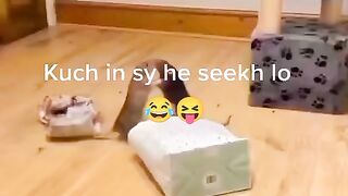 Kuch in say bhi seehk lo ????????????