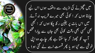 Aapse khufiya mohabbat Karne wali shakhs ki ek nishani hoti hai