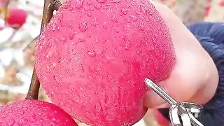 #fruit cutting techniques #apple fruit cutting