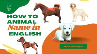 Animals name and sound #animalsname#animalswithsound#learning