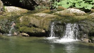 Beautiful water fall scene