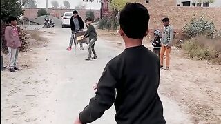 Cricket
