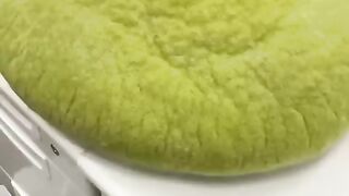Cat video