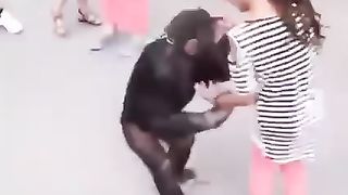 Funny video