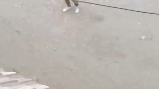 Funny video