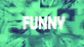 Try Not To Laugh Funniest Dog Videos Of All Time! Pets Town
