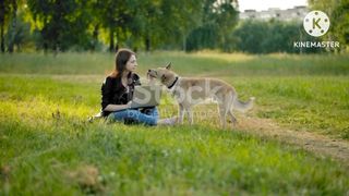 Dog's training