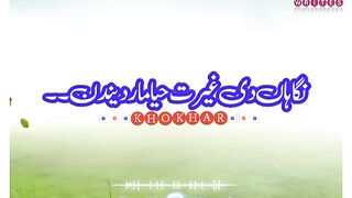 Punjabi dhora