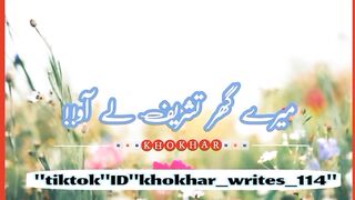 Punjabi dhora