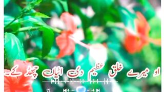 Punjabi dhora